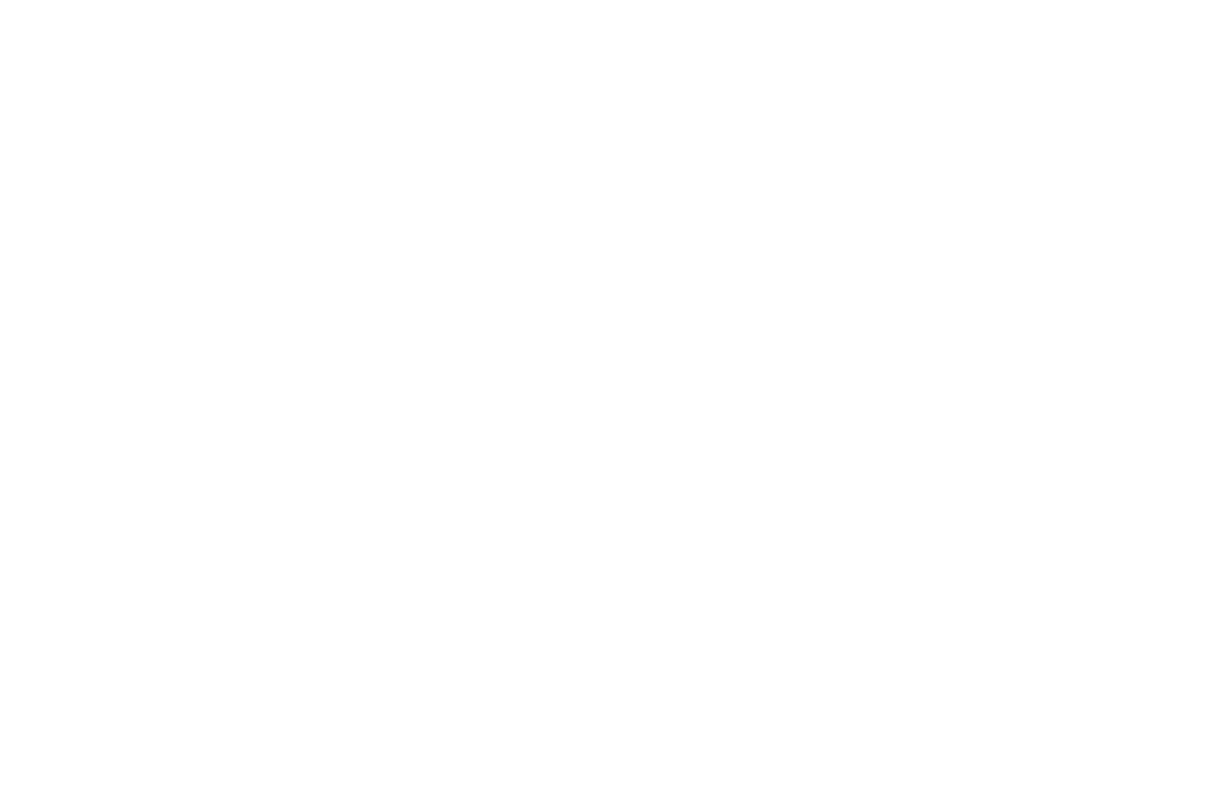Best Animated Film